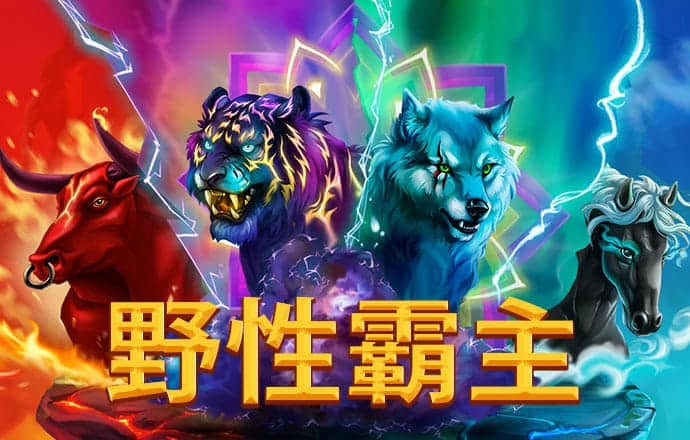 c7娱乐下载安卓
